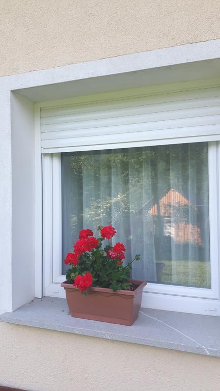 Apartments Petrin Толмин Екстериор снимка